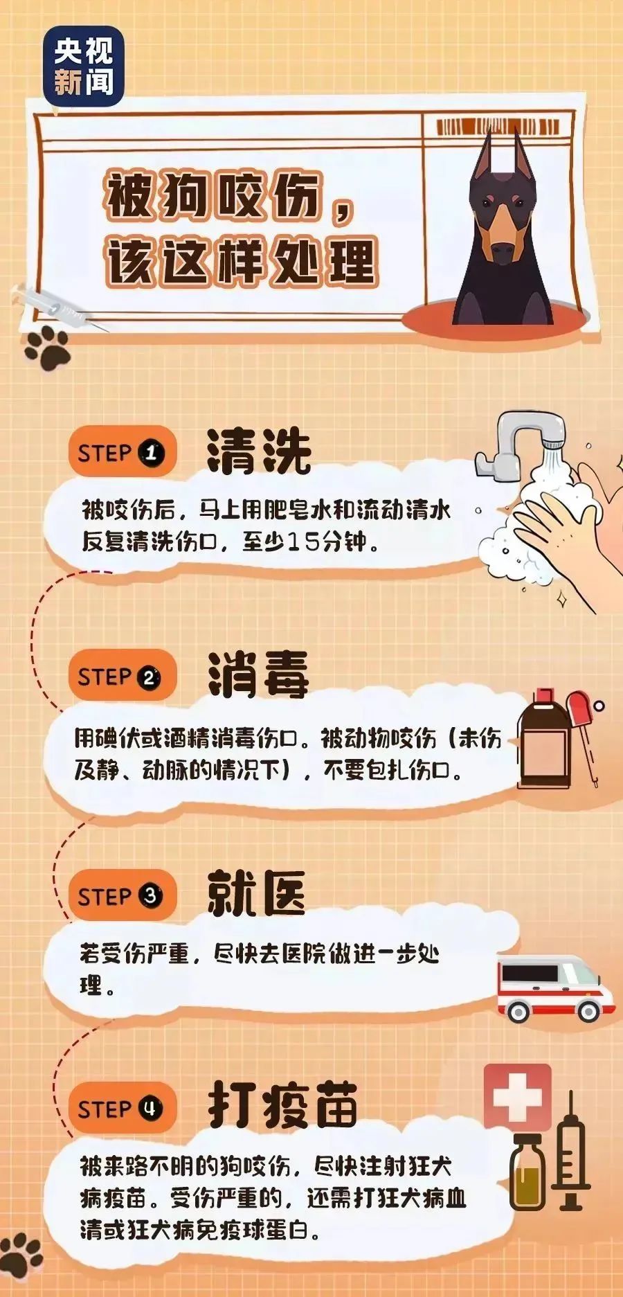 【今日普法】恶犬伤人，受害者如何维权、取证？